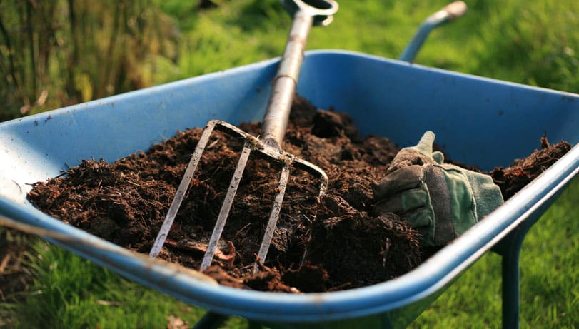 Wheelbarrow and mulch